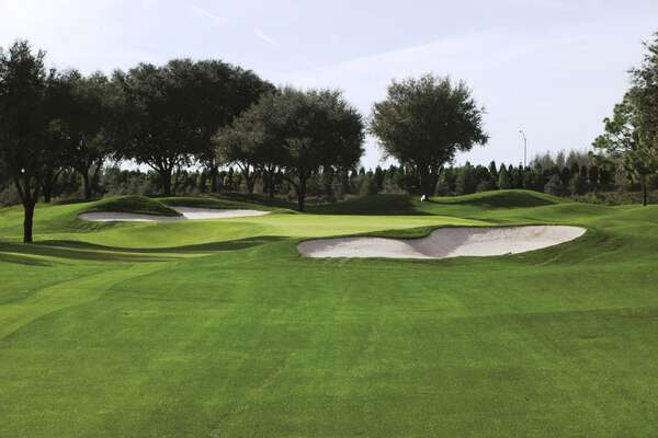TPC Tampa Bay