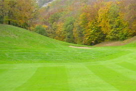 Golf & Country Club de Bossey
