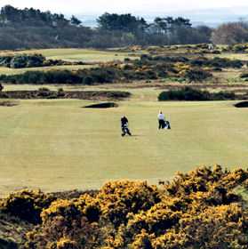 Golf South Ayrshire